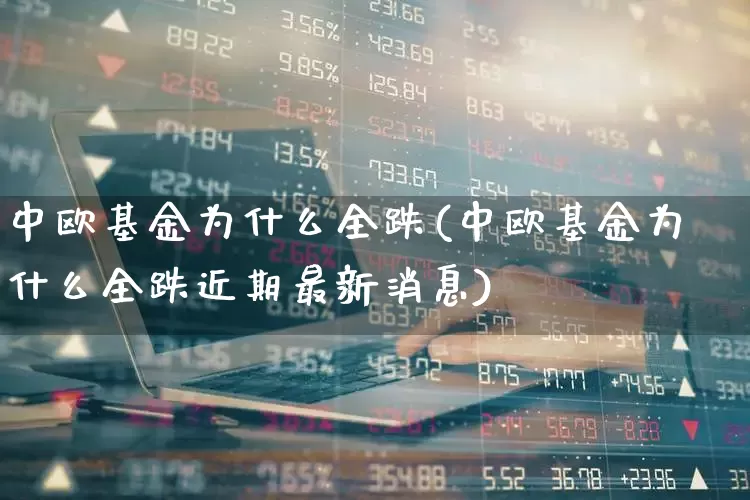 中欧基金为什么全跌(中欧基金为什么全跌近期最新消息)_https://www.hhem8.com_科创板_第1张