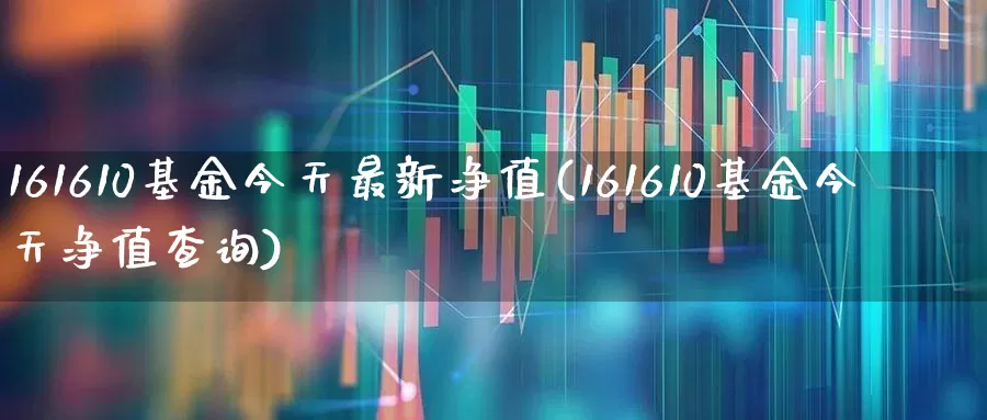 161610基金今天最新净值(161610基金今天净值查询)_https://www.hhem8.com_科创板_第1张