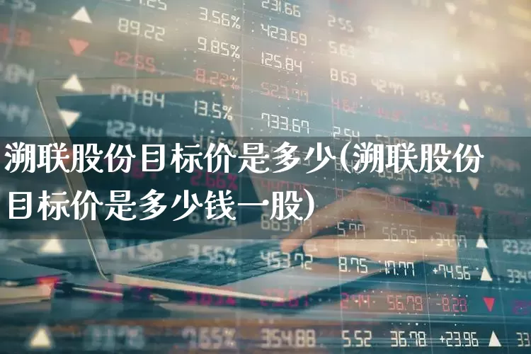 溯联股份目标价是多少(溯联股份目标价是多少钱一股)_https://www.hhem8.com_科创板_第1张