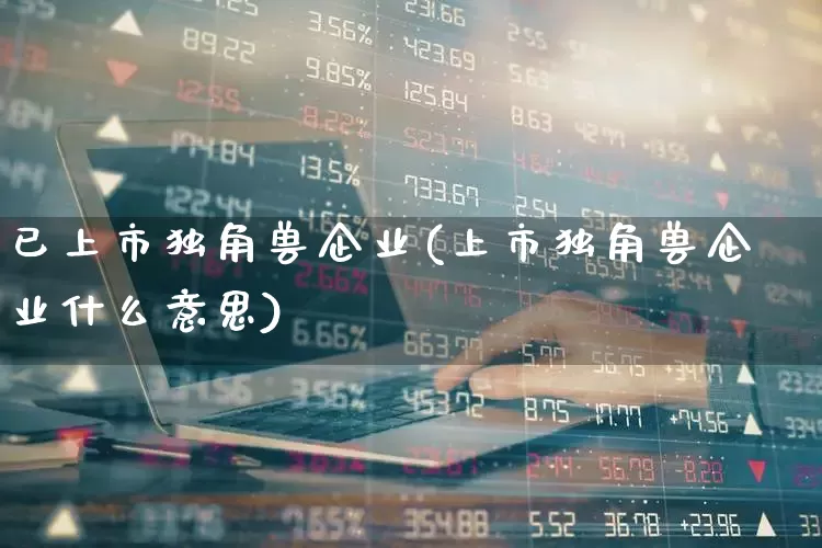 已上市独角兽企业(上市独角兽企业什么意思)_https://www.hhem8.com_深交所_第1张
