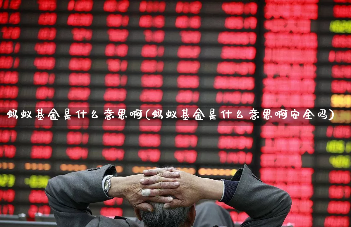 蚂蚁基金是什么意思啊(蚂蚁基金是什么意思啊安全吗)_https://www.hhem8.com_上交所_第1张