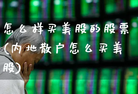 怎么样买美股的股票(内地散户怎么买美股)_https://www.hhem8.com_上交所_第1张