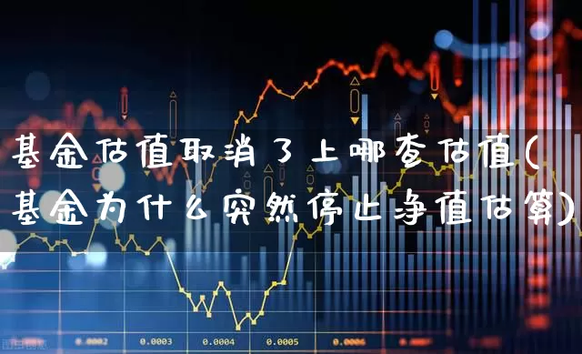 基金估值取消了上哪查估值(基金为什么突然停止净值估算)_https://www.hhem8.com_北交所_第1张