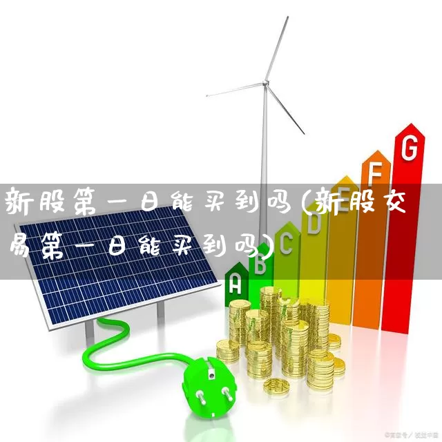 新股第一日能买到吗(新股交易第一日能买到吗)_https://www.hhem8.com_上交所_第1张