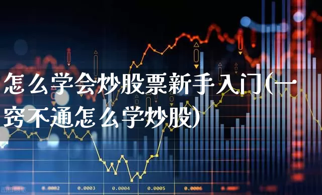怎么学会炒股票新手入门(一窍不通怎么学炒股)_https://www.hhem8.com_科创板_第1张