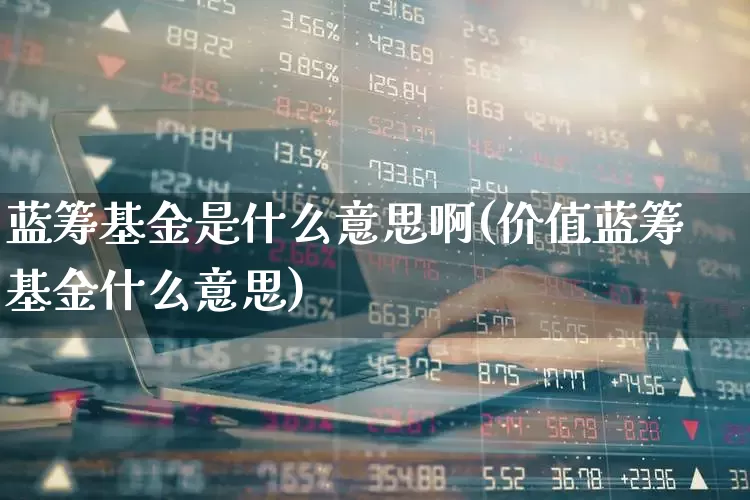 蓝筹基金是什么意思啊(价值蓝筹基金什么意思)_https://www.hhem8.com_北交所_第1张