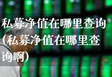 私募净值在哪里查询(私募净值在哪里查询啊)_https://www.hhem8.com_上交所_第1张