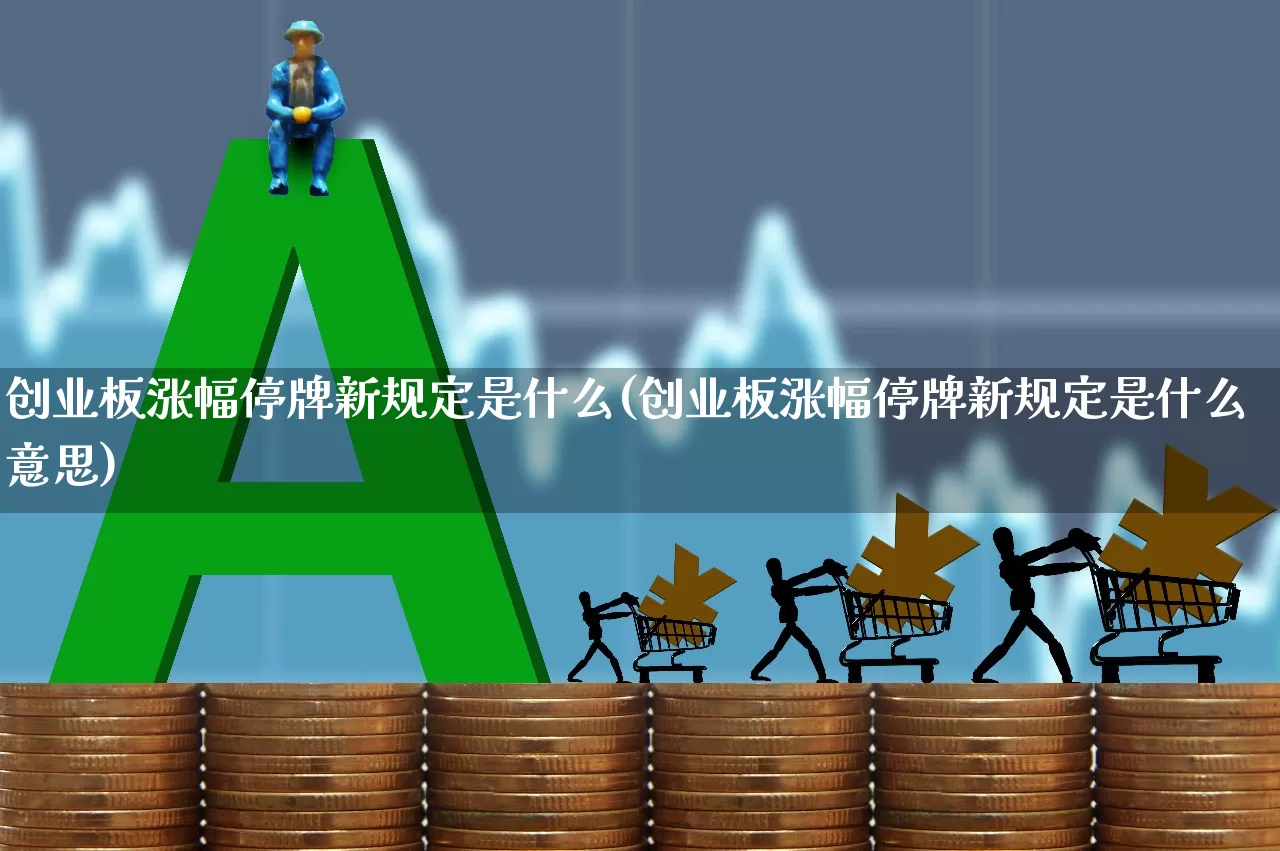 创业板涨幅停牌新规定是什么(创业板涨幅停牌新规定是什么意思)_https://www.hhem8.com_北交所_第1张