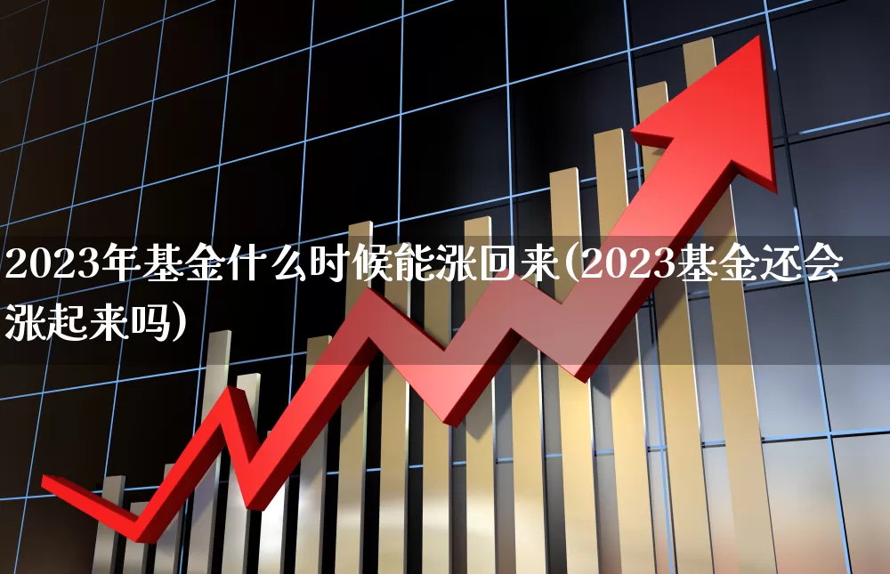 2023年基金什么时候能涨回来(2023基金还会涨起来吗)_https://www.hhem8.com_上交所_第1张