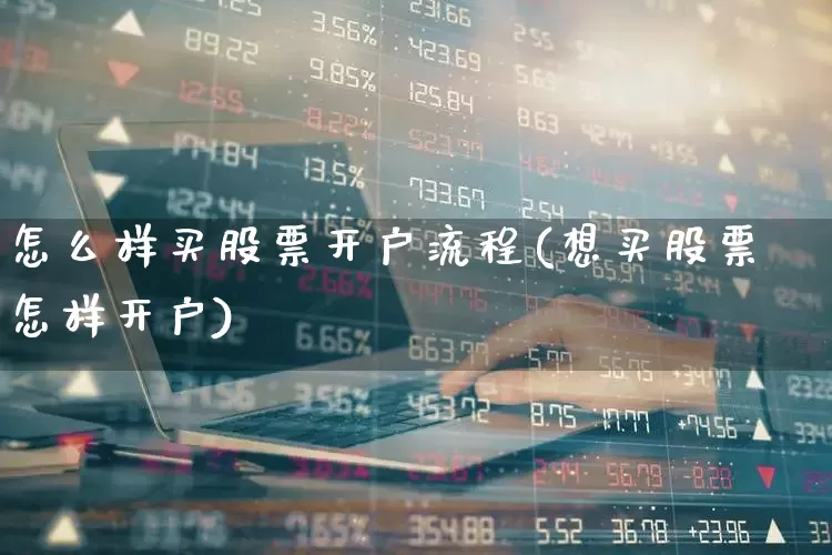 怎么样买股票开户流程(想买股票怎样开户)_https://www.hhem8.com_科创板_第1张