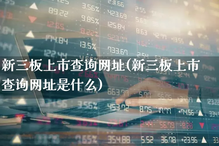 新三板上市查询网址(新三板上市查询网址是什么)_https://www.hhem8.com_创业板_第1张