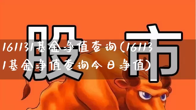 161131基金净值查询(161131基金净值查询今日净值)_https://www.hhem8.com_科创板_第1张