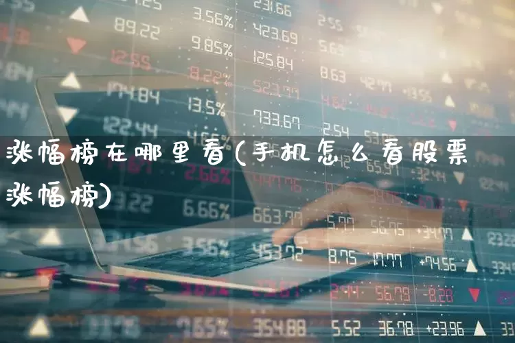 涨幅榜在哪里看(手机怎么看股票涨幅榜)_https://www.hhem8.com_创业板_第1张