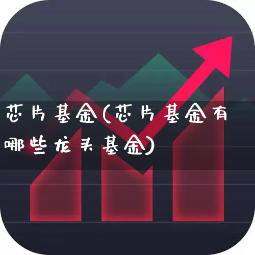 芯片基金(芯片基金有哪些龙头基金)_https://www.hhem8.com_北交所_第1张