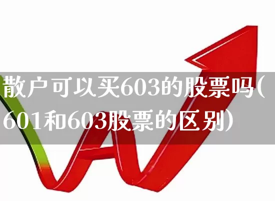 散户可以买603的股票吗(601和603股票的区别)_https://www.hhem8.com_创业板_第1张