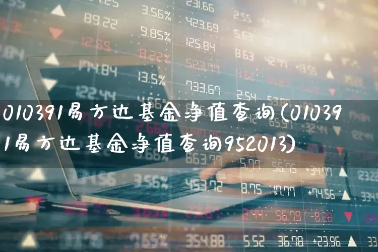 010391易方达基金净值查询(010391易方达基金净值查询952013)_https://www.hhem8.com_深交所_第1张