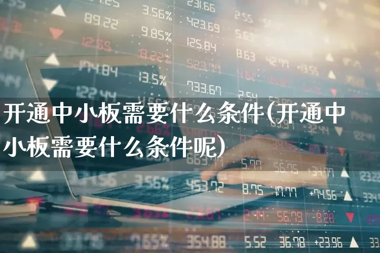 开通中小板需要什么条件(开通中小板需要什么条件呢)_https://www.hhem8.com_北交所_第1张