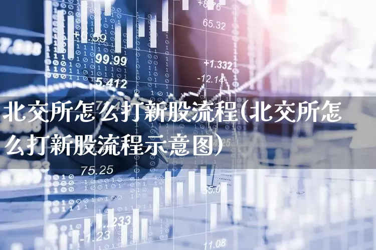 北交所怎么打新股流程(北交所怎么打新股流程示意图)_https://www.hhem8.com_科创板_第1张