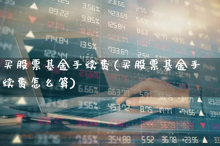 买股票基金手续费(买股票基金手续费怎么算)_https://www.hhem8.com_科创板_第1张