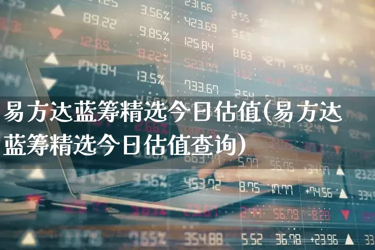 易方达蓝筹精选今日估值(易方达蓝筹精选今日估值查询)_https://www.hhem8.com_北交所_第1张