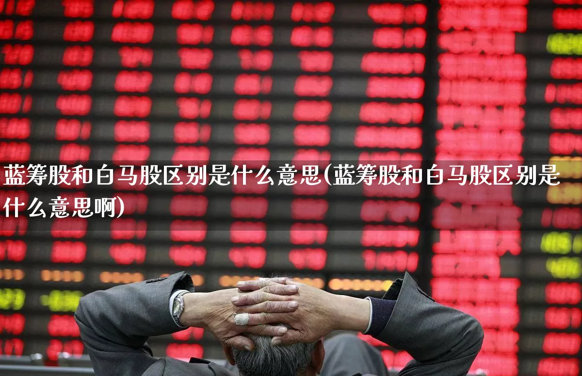 蓝筹股和白马股区别是什么意思(蓝筹股和白马股区别是什么意思啊)_https://www.hhem8.com_深交所_第1张