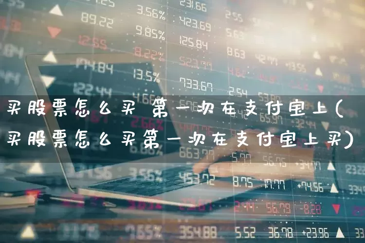 买股票怎么买 第一次在支付宝上(买股票怎么买第一次在支付宝上买)_https://www.hhem8.com_科创板_第1张