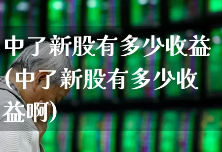 中了新股有多少收益(中了新股有多少收益啊)_https://www.hhem8.com_北交所_第1张