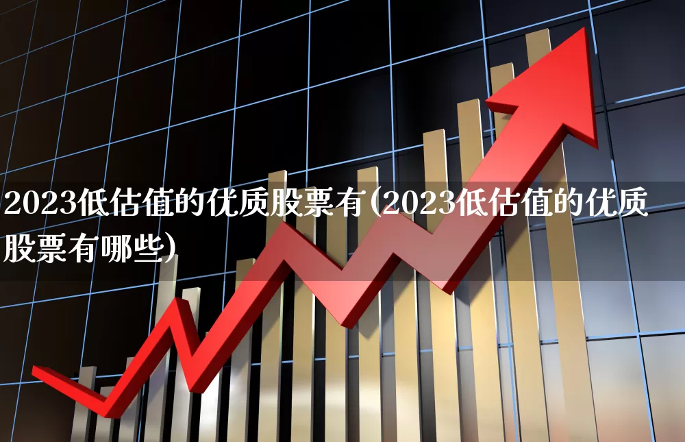 2023低估值的优质股票有(2023低估值的优质股票有哪些)_https://www.hhem8.com_深交所_第1张