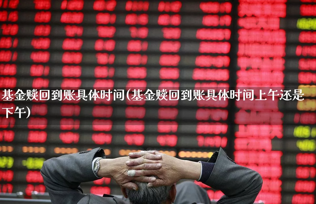 基金赎回到账具体时间(基金赎回到账具体时间上午还是下午)_https://www.hhem8.com_科创板_第1张