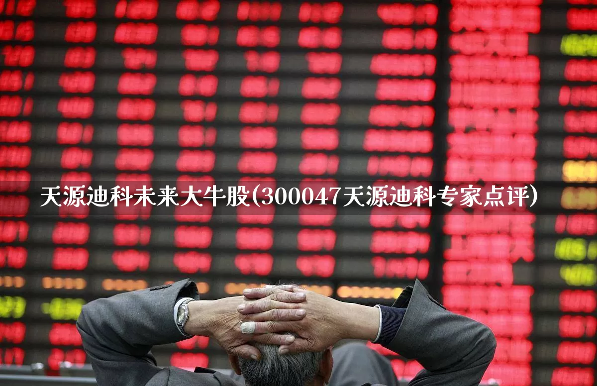 天源迪科未来大牛股(300047天源迪科专家点评)_https://www.hhem8.com_科创板_第1张