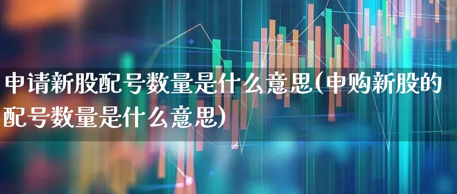 申请新股配号数量是什么意思(申购新股的配号数量是什么意思)_https://www.hhem8.com_北交所_第1张