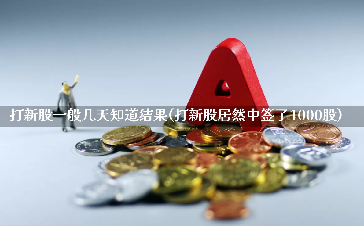 打新股一般几天知道结果(打新股居然中签了1000股)_https://www.hhem8.com_上交所_第1张