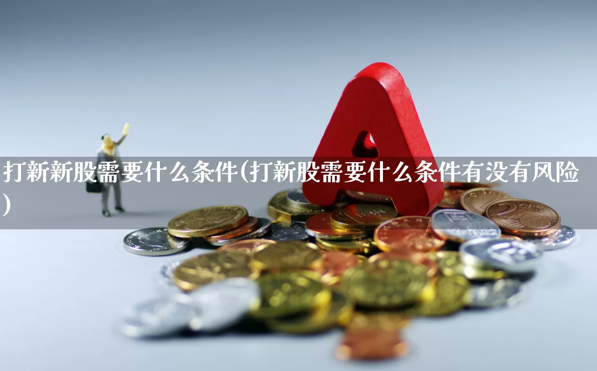 打新新股需要什么条件(打新股需要什么条件有没有风险)_https://www.hhem8.com_科创板_第1张