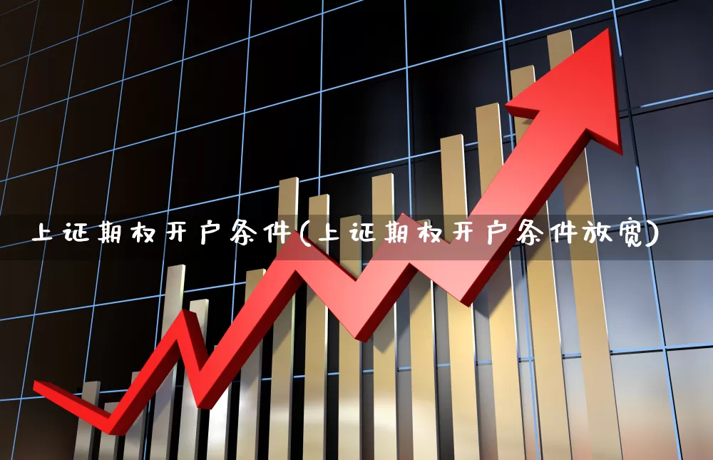 上证期权开户条件(上证期权开户条件放宽)_https://www.hhem8.com_科创板_第1张