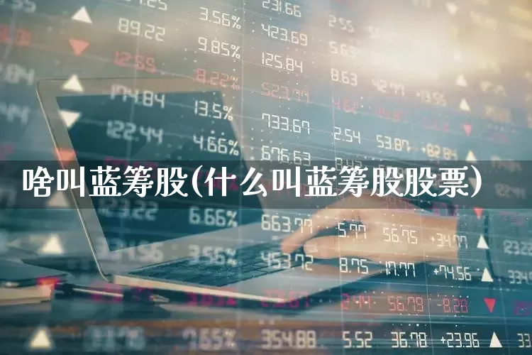 啥叫蓝筹股(什么叫蓝筹股股票)_https://www.hhem8.com_上交所_第1张