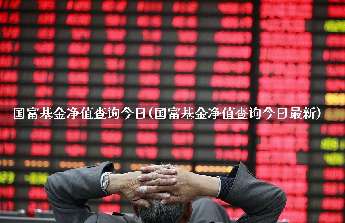 国富基金净值查询今日(国富基金净值查询今日最新)_https://www.hhem8.com_北交所_第1张