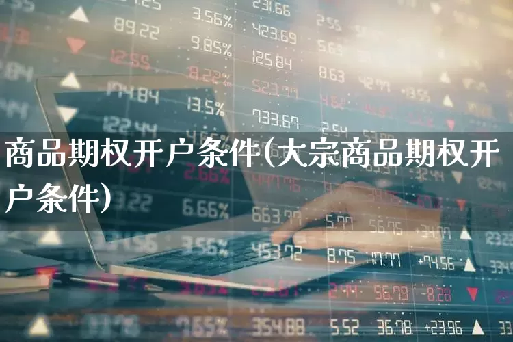 商品期权开户条件(大宗商品期权开户条件)_https://www.hhem8.com_创业板_第1张