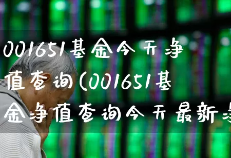 001651基金今天净值查询(001651基金净值查询今天最新净值)_https://www.hhem8.com_科创板_第1张