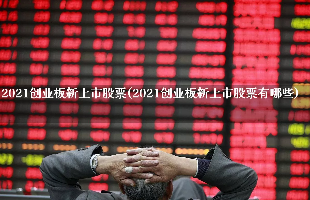 2021创业板新上市股票(2021创业板新上市股票有哪些)_https://www.hhem8.com_上交所_第1张