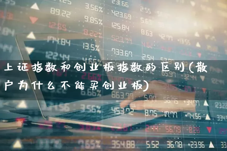 上证指数和创业板指数的区别(散户为什么不能买创业板)_https://www.hhem8.com_上交所_第1张