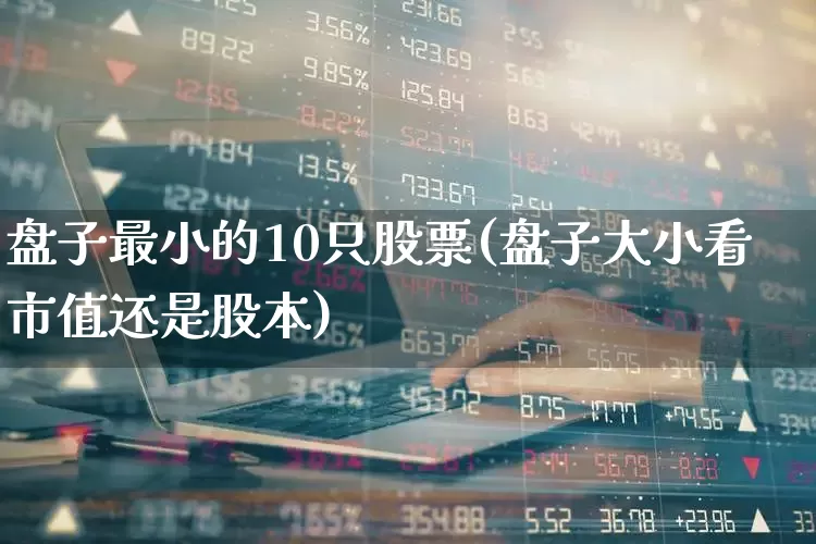 盘子最小的10只股票(盘子大小看市值还是股本)_https://www.hhem8.com_深交所_第1张