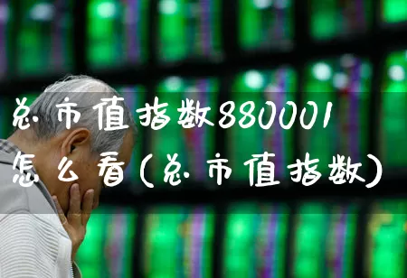 总市值指数880001怎么看(总市值指数)_https://www.hhem8.com_科创板_第1张