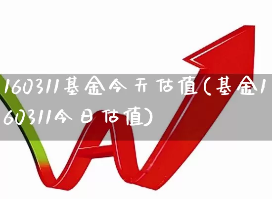 160311基金今天估值(基金160311今日估值)_https://www.hhem8.com_上交所_第1张