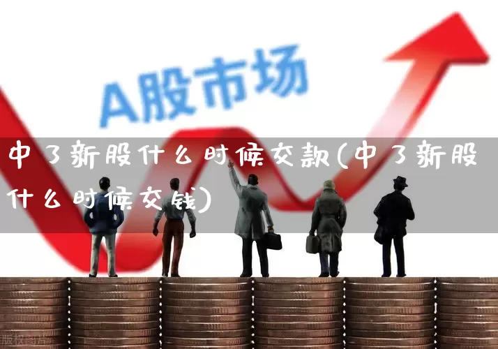 中了新股什么时候交款(中了新股什么时候交钱)_https://www.hhem8.com_科创板_第1张