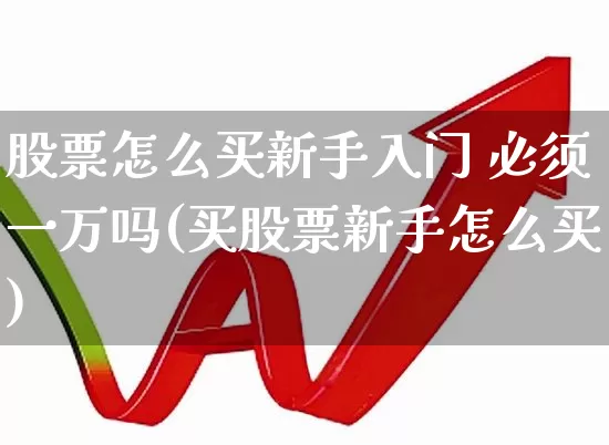 股票怎么买新手入门 必须一万吗(买股票新手怎么买)_https://www.hhem8.com_北交所_第1张
