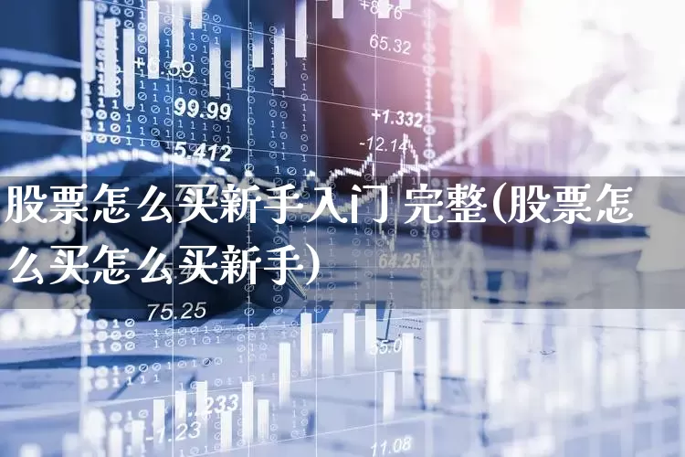 股票怎么买新手入门 完整(股票怎么买怎么买新手)_https://www.hhem8.com_上交所_第1张