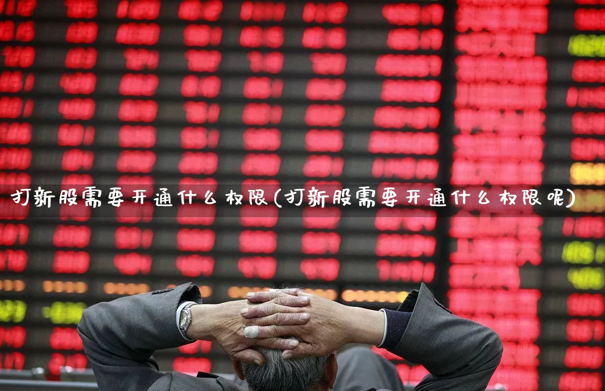 打新股需要开通什么权限(打新股需要开通什么权限呢)_https://www.hhem8.com_深交所_第1张