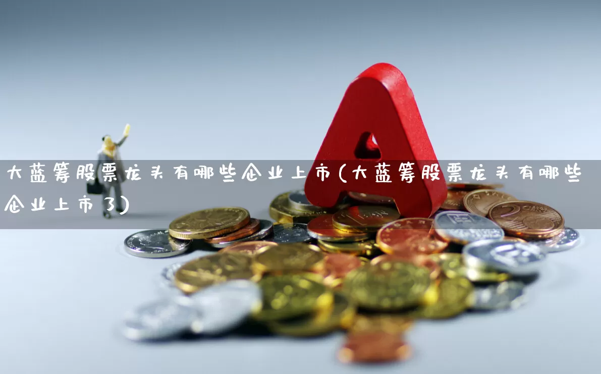 大蓝筹股票龙头有哪些企业上市(大蓝筹股票龙头有哪些企业上市了)_https://www.hhem8.com_北交所_第1张