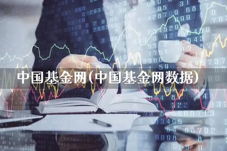 中国基金网(中国基金网数据)_https://www.hhem8.com_科创板_第1张