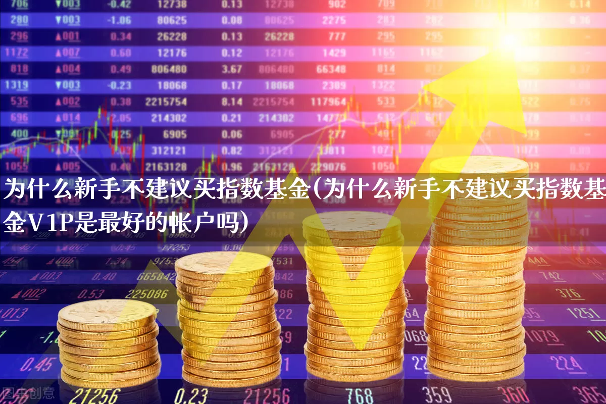 为什么新手不建议买指数基金(为什么新手不建议买指数基金V1P是最好的帐户吗)_https://www.hhem8.com_北交所_第1张